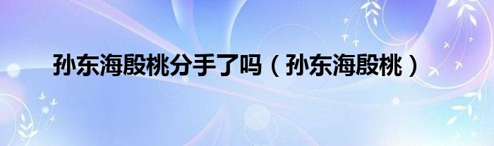 孙东海殷桃分手了吗(孙东海殷桃)