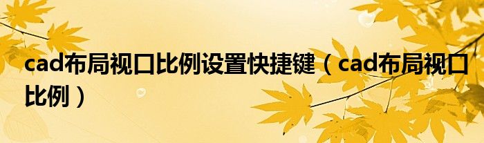 cad布局视口比例设置快捷键(cad布局视口比例)