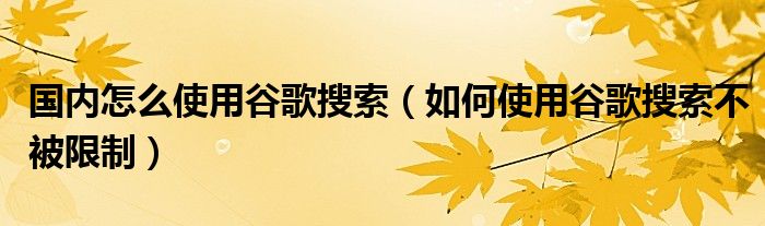 国内怎么使用谷歌搜索(如何使用谷歌搜索不被限制)