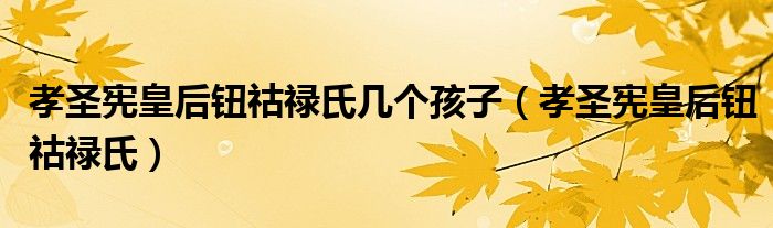 孝圣宪皇后钮祜禄氏几个孩子(孝圣宪皇后钮祜禄氏)