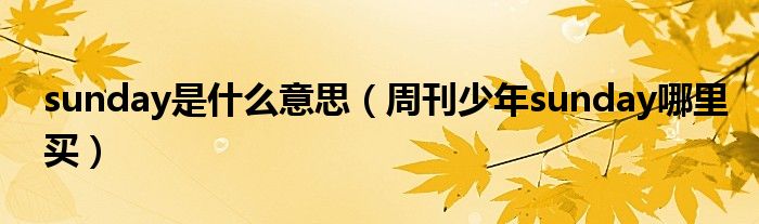 sunday是什么意思(周刊少年sunday哪里买)