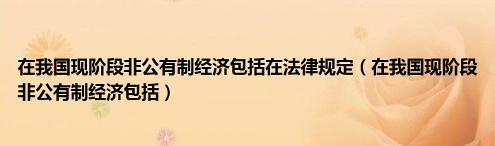 在我国现阶段非公有制经济包括在法律规定(在我国现阶段非公有制经济包括)