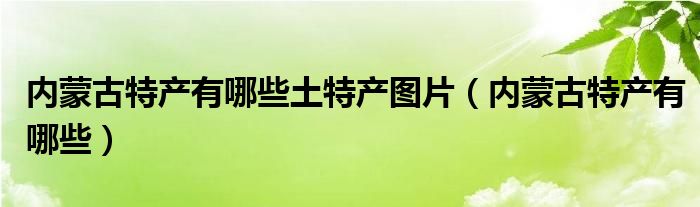 内蒙古特产有哪些土特产图片(内蒙古特产有哪些)