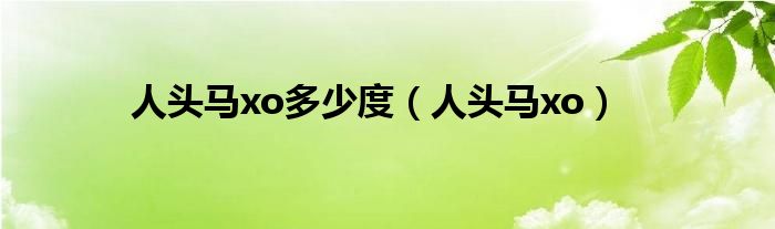 人头马xo多少度(人头马xo)