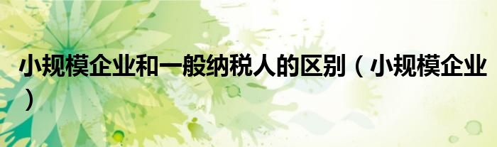 小规模企业和一般纳税人的区别(小规模企业)
