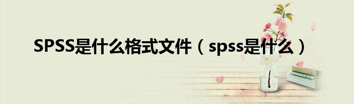 SPSS是什么格式文件(spss是什么)