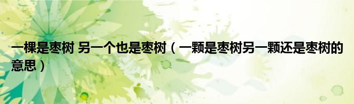 一棵是枣树 另一个也是枣树(一颗是枣树另一颗还是枣树的意思)