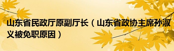 山东省民政厅原副厅长(山东省政协主席孙淑义被免职原因)
