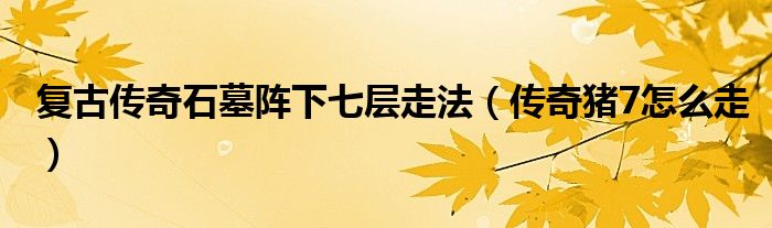 复古传奇石墓阵下七层走法(传奇猪7怎么走)