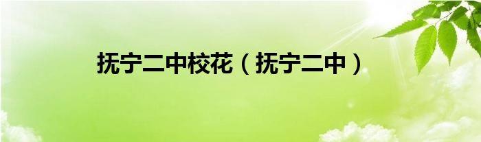 抚宁二中校花（抚宁二中）