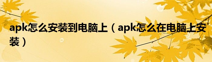 apk怎么安装到电脑上(apk怎么在电脑上安装)