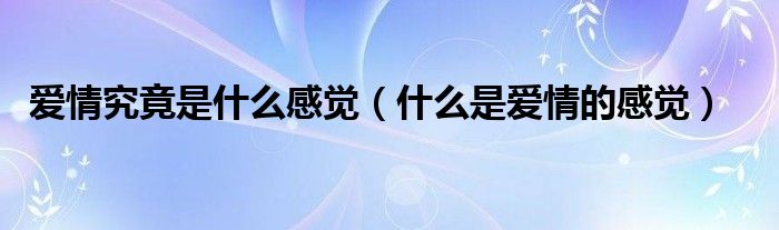 爱情究竟是什么感觉(什么是爱情的感觉)