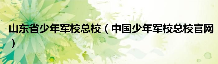 山东省少年军校总校(中国少年军校总校官网)