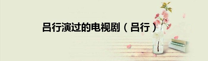 吕行演过的电视剧（吕行）