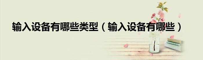 输入设备有哪些类型(输入设备有哪些)