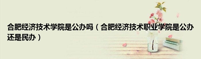 合肥经济技术学院是公办吗(合肥经济技术职业学院是公办还是民办)
