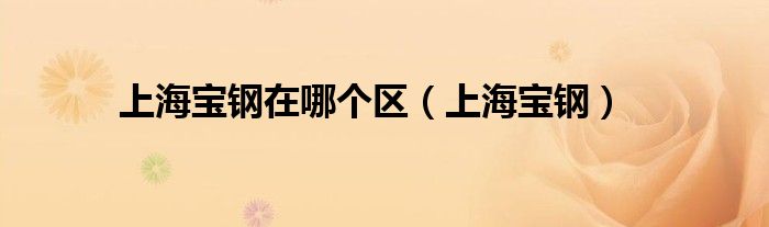 上海宝钢在哪个区(上海宝钢)