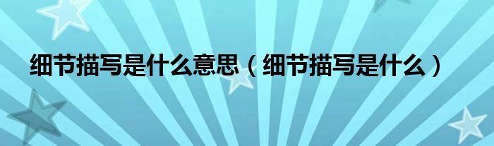 细节描写是什么意思(细节描写是什么)