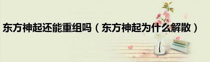 东方神起还能重组吗(东方神起为什么解散)