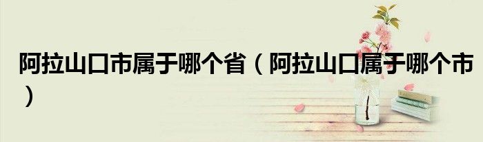 阿拉山口市属于哪个省(阿拉山口属于哪个市)