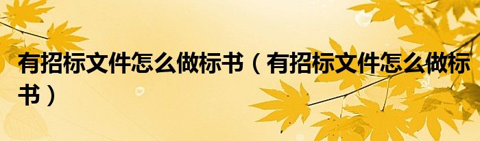 有招标文件怎么做标书(有招标文件怎么做标书)