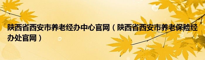 陕西省西安市养老经办中心官网(陕西省西安市养老保险经办处官网)