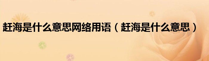 赶海是什么意思网络用语(赶海是什么意思)