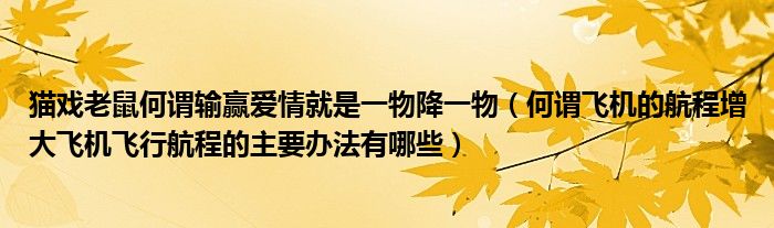 猫戏老鼠何谓输赢爱情就是一物降一物(何谓飞机的航程增大飞机飞行航程的主要办法有哪些)