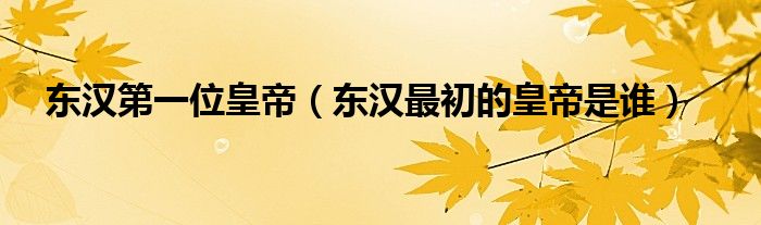 东汉第一位皇帝(东汉最初的皇帝是谁)