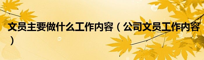文员主要做什么工作内容(公司文员工作内容)