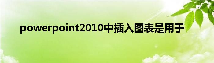 powerpoint2010中插入图表是用于