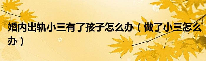 婚内出轨小三有了孩子怎么办(做了小三怎么办)