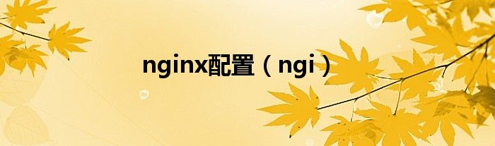 nginx配置(ngi)