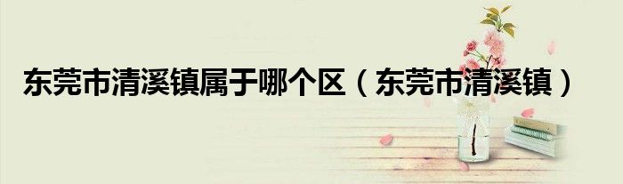东莞市清溪镇属于哪个区(东莞市清溪镇)