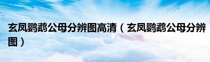 玄凤鹦鹉公母分辨图高清(玄凤鹦鹉公母分辨图)