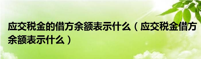 应交税金的借方余额表示什么(应交税金借方余额表示什么)