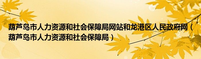 葫芦岛市人力资源和社会保障局网站和龙港区人民政府网(葫芦岛市人力资源和社会保障局)