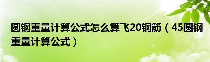 圆钢重量计算公式怎么算飞20钢筋(45圆钢重量计算公式)