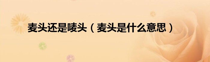 麦头还是唛头(麦头是什么意思)