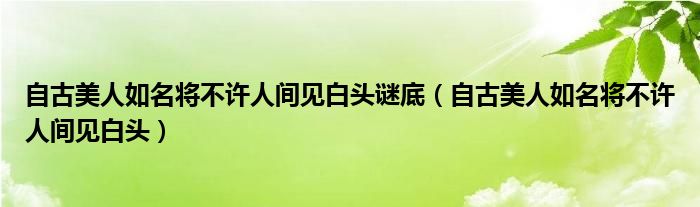 自古美人如名将不许人间见白头谜底(自古美人如名将不许人间见白头)