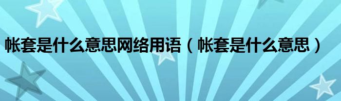 帐套是什么意思网络用语(帐套是什么意思)