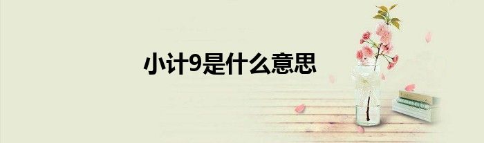 小计9是什么意思
