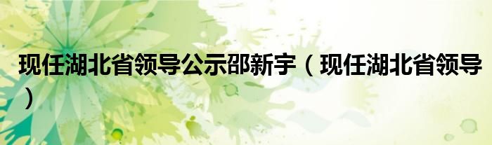 现任湖北省领导公示邵新宇(现任湖北省领导)