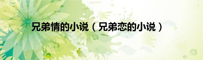 兄弟情的小说(兄弟恋的小说)