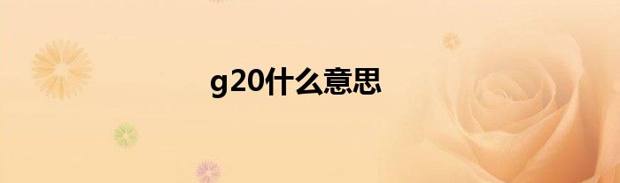 g20什么意思