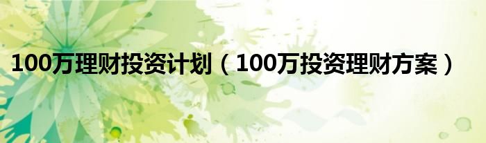 100万理财投资计划(100万投资理财方案)