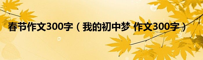 春节作文300字(我的初中梦 作文300字)