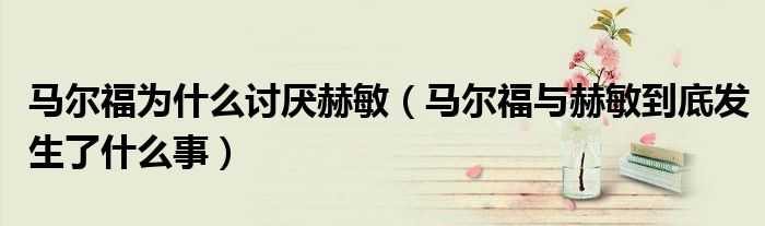 马尔福为什么讨厌赫敏(马尔福与赫敏到底发生了什么事)