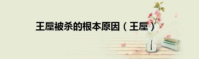 王垕被杀的根本原因(王垕)
