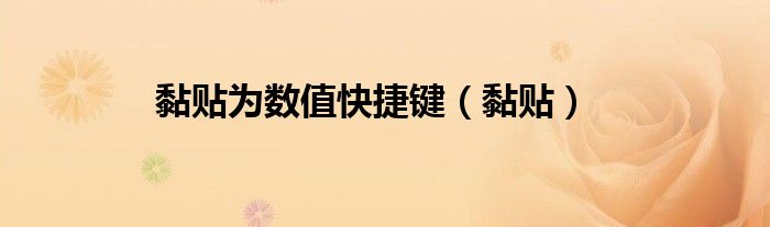 黏贴为数值快捷键（黏贴）